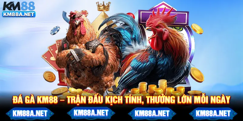 Đá gà KM88 – Trận đấu kịch tính, thưởng lớn mỗi ngày